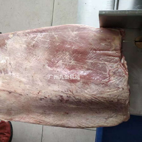 全自动锯骨机 史上最安全高效的锯骨机与果蔬加工设备