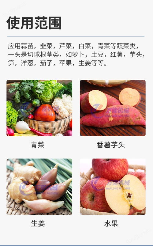 大型蒜泥打碎机 多功能果蔬加工设备的革新应用